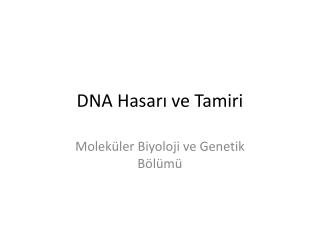 DNA Hasarı ve Tamiri