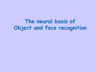 The neural basis of Object and face recognition