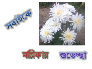 মল্লিকার