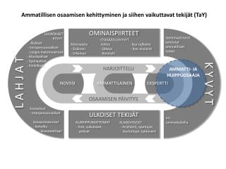 Ammatillisen osaamisen kehittyminen ja siihen vaikuttavat tekijät ( TaY )