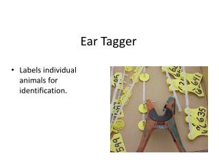 Ear Tagger