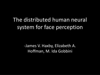 The distributed human neural system for face perception