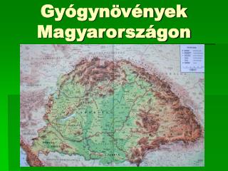 Gyógynövények Magyarországon