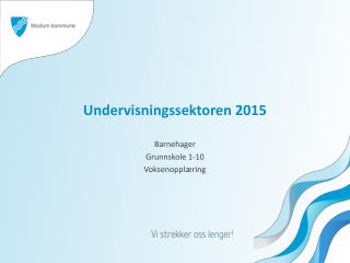 Undervisningssektoren 2015