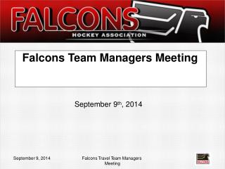 Falcons Team Man a gers Me e ting