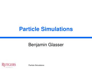 Particle Simulations