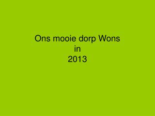 Ons mooie dorp Wons in 2013