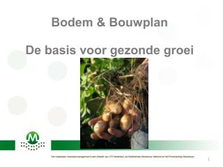 Bodem &amp; Bouwplan De basis voor gezonde groei