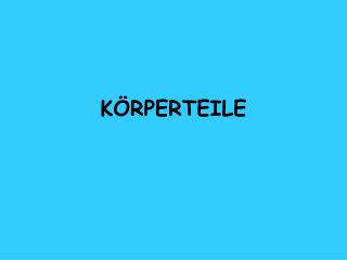 KÖRPERTEILE