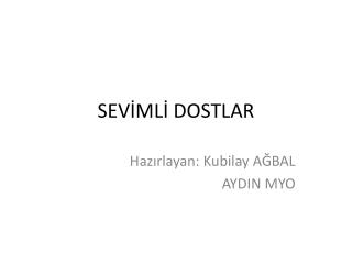 SEVİMLİ DOSTLAR