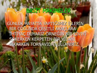 BASİT MAKİNELER