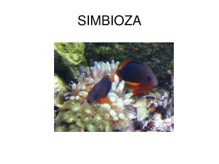 SIMBIOZA