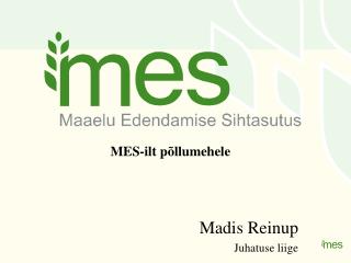 Madis Reinup Juhatuse liige