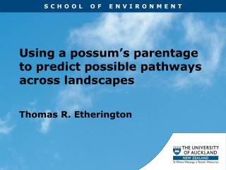 Using a possum’s parentage to predict possible pathways across landscapes