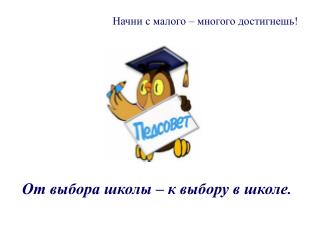 От выбора школы – к выбору в школе .