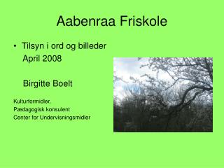 Aabenraa Friskole