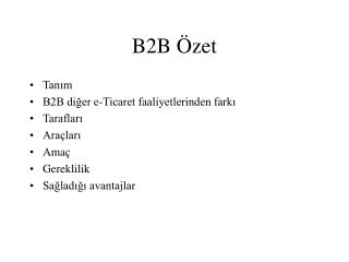 B2B Özet