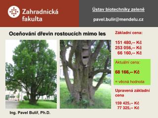 Ústav biotechniky zeleně pavel.bulir@mendelu.cz