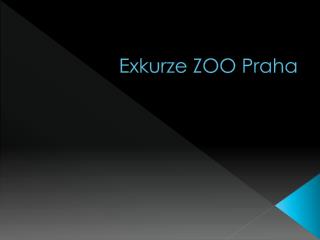 Exkurze ZOO Praha