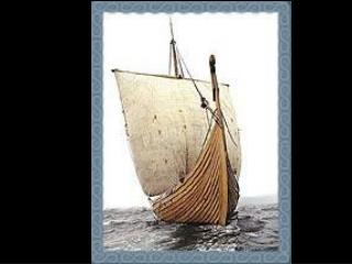The Vikings