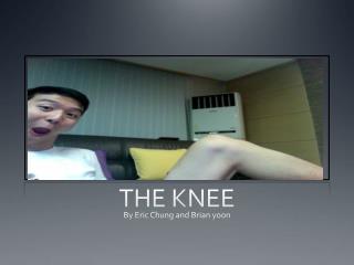 THE KNEE