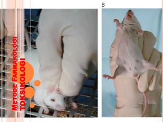 Metode Farmakologi TOKSIKOLOGI