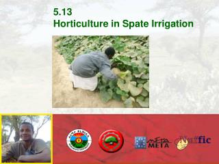 5.13 Horticulture in Spate Irrigation
