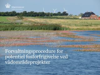 Forvaltningsprocedure for potentiel fosforfrigivelse ved vådområdeprojekter