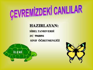 ÇEVREMİZDEKİ CANLILAR