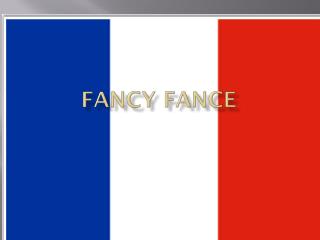 Fancy Fance