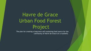 Havre de Grace Urban Food Forest Project