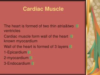 Cardiac Muscle