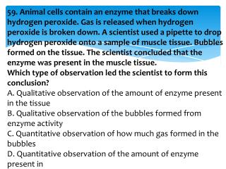 Hypothesis Writing