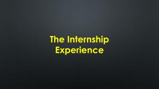 The Internship Experience