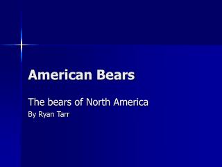 American Bears