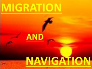 NAVIGATIoN