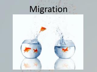 Migration
