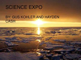 SCIENCE EXPO