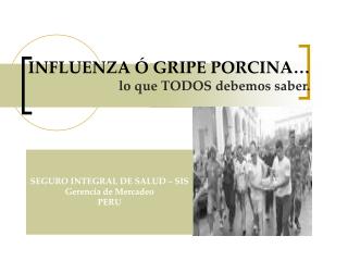 INFLUENZA Ó GRIPE PORCINA… lo que TODOS debemos saber.