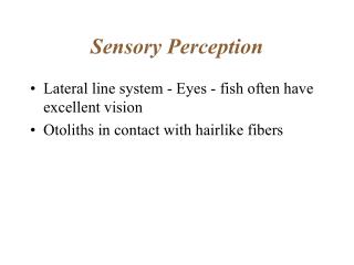 Sensory Perception