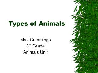 Types of Animals