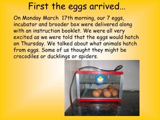First the eggs arrived…