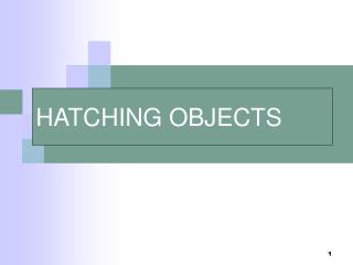 HATCHING OBJECTS