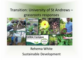 Transition: University of St Andrews – grassroots responses