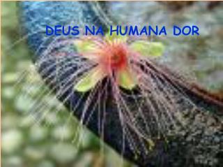 Deus na