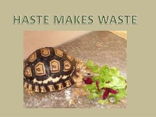 HASTE MAKES WASTE