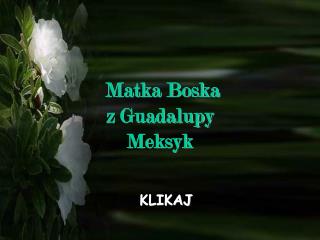 Matka Boska z Guadalupy Meksyk