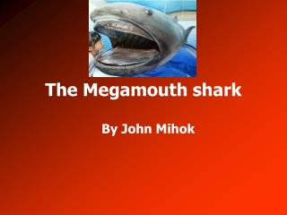 The Megamouth shark