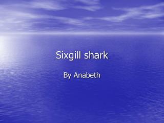 Sixgill shark