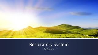 Respiratory System